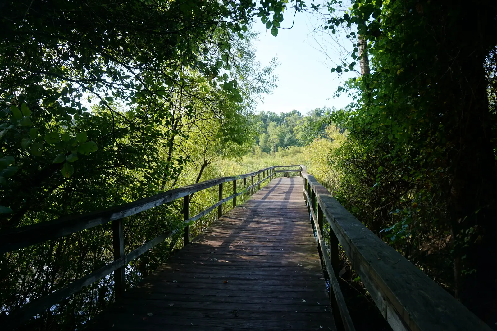 A boardwalk crosses a marsh beside the Bicentennial Greenway near Gibson Park in Jamestown.